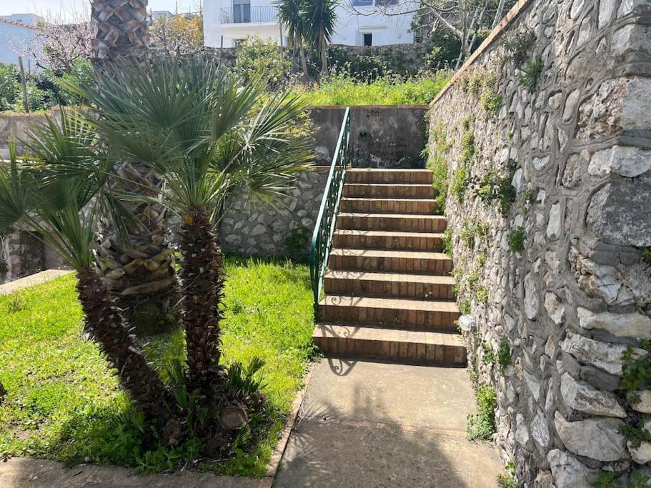 Apartamento Casamira *